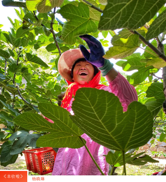 AGׯ�С�(�й�)����