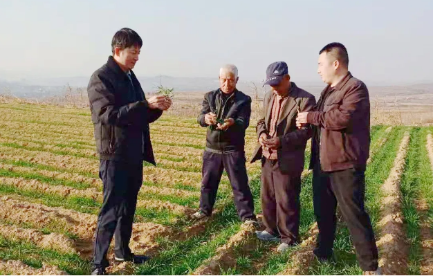 AGׯ�С�(�й�)����