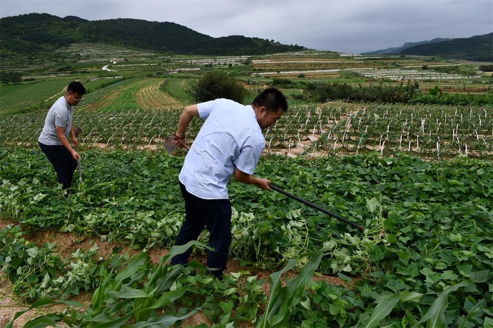 AGׯ�С�(�й�)����