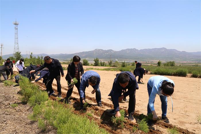 AGׯ�С�(�й�)����