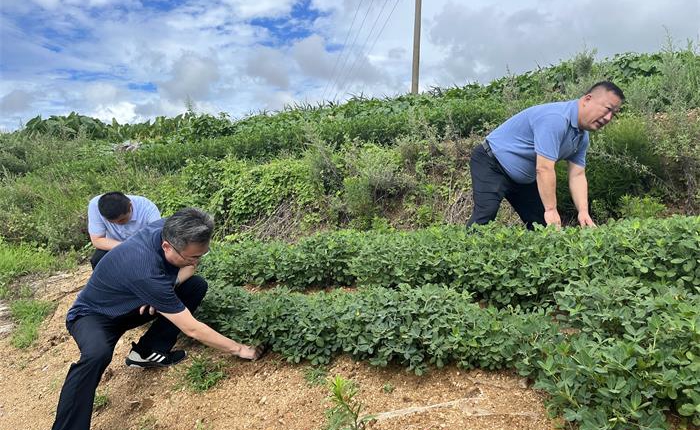 AGׯ�С�(�й�)����