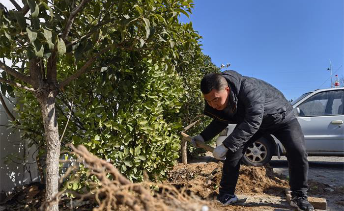 AGׯ�С�(�й�)����