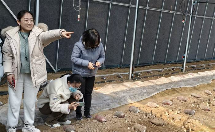 AGׯ�С�(�й�)����